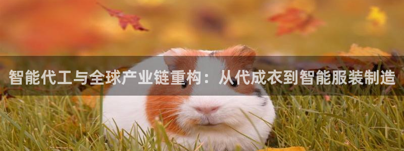 天辰臣娱乐