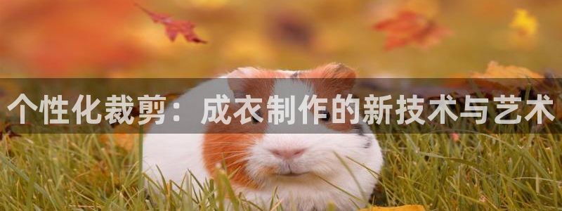 天辰娱乐赌博