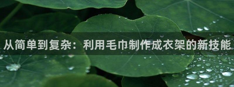 天辰娱乐 39974
