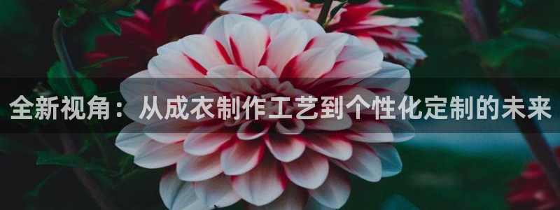 天辰娱乐代理