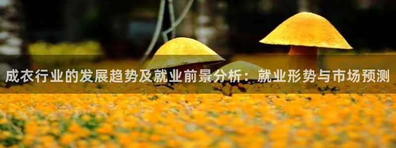 天辰娱乐海洋