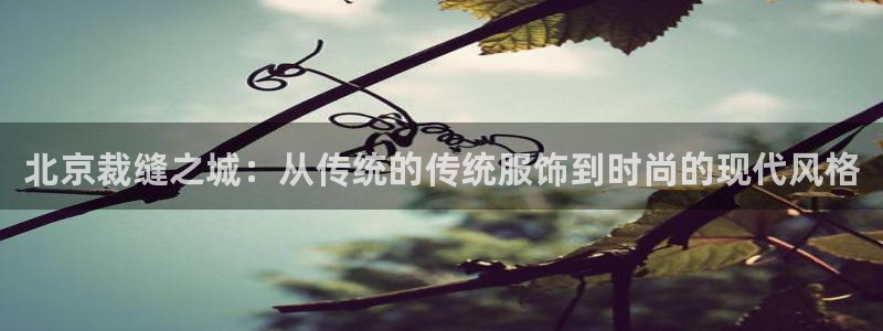 天辰娱乐白屏