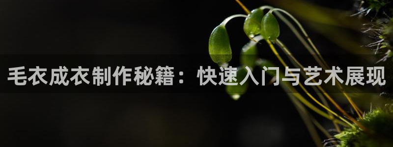 天辰娱乐1956