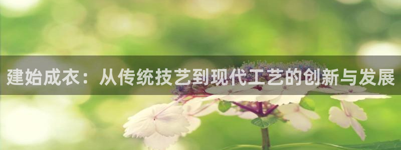 天辰娱乐61116