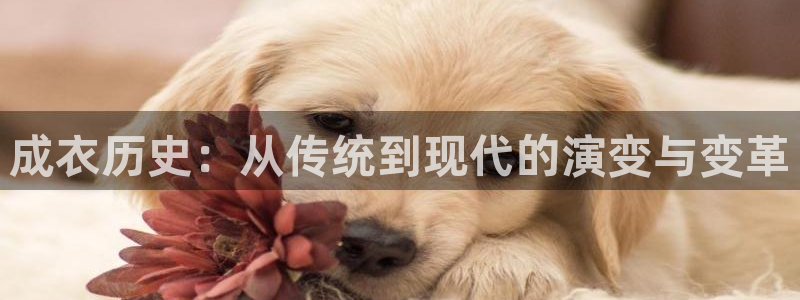 天辰娱乐棋牌
