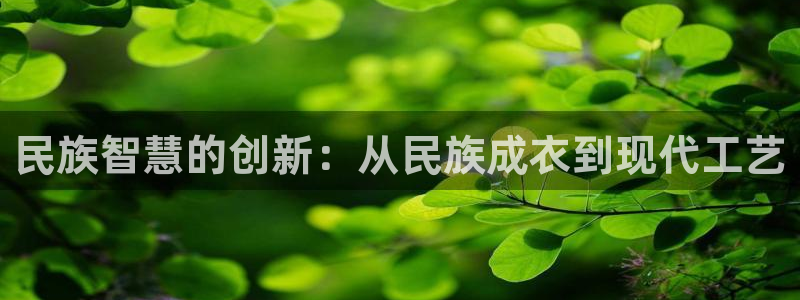 天辰娱乐视频