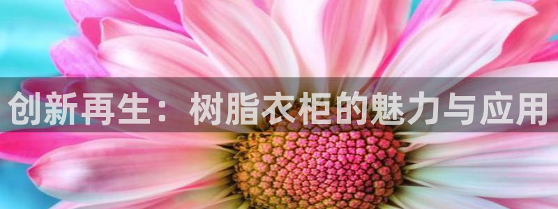 天辰臣娱乐