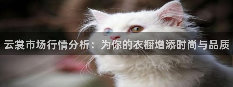 天辰娱乐国际