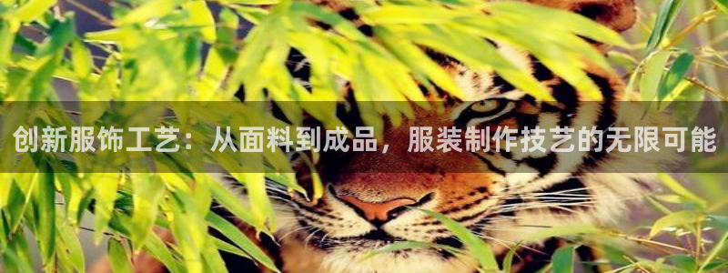 天辰娱乐新闻