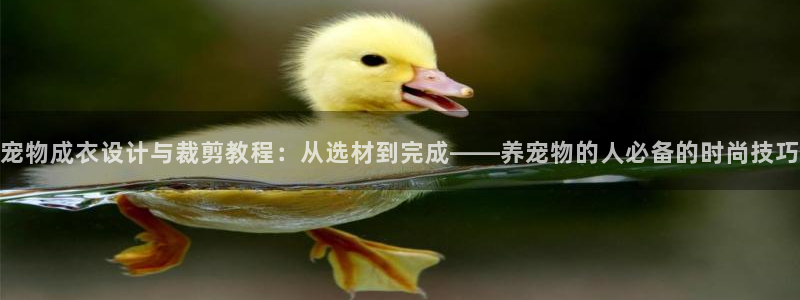 天辰娱乐 44516