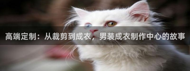 天辰娱乐股东