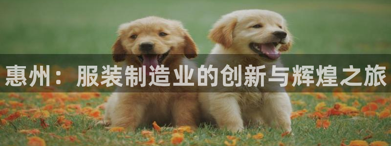 天辰娱乐平台登录账号