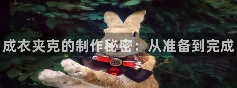 天辰娱乐分红