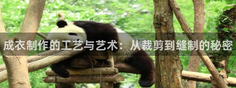 天辰娱乐网