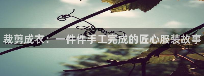 天辰娱乐上级