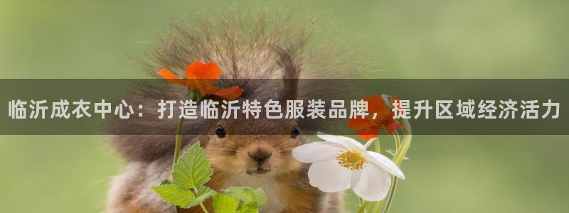 天辰娱乐白屏