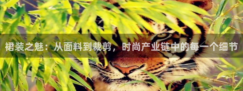 天富娱乐与天辰娱乐