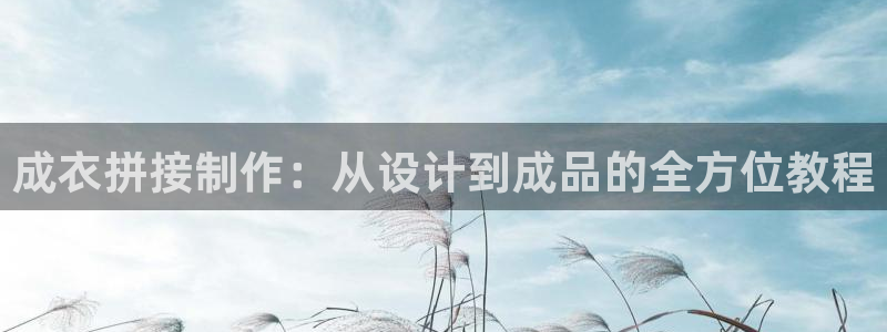 天辰娱乐主管
