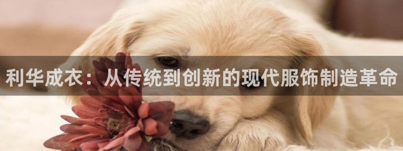 天辰娱乐tff