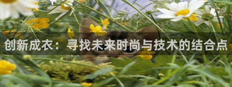 天辰娱乐官方网