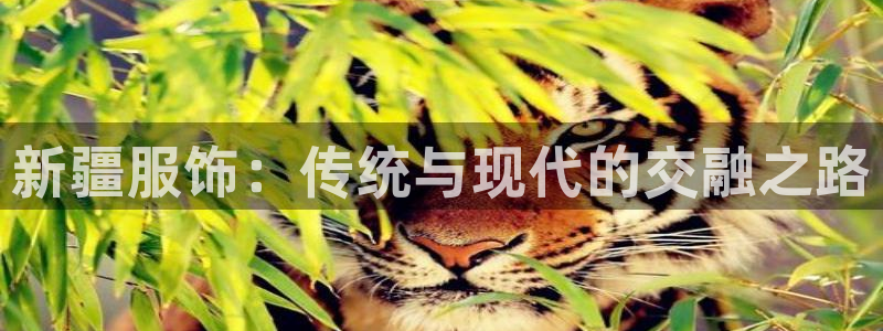 天辰娱乐39596