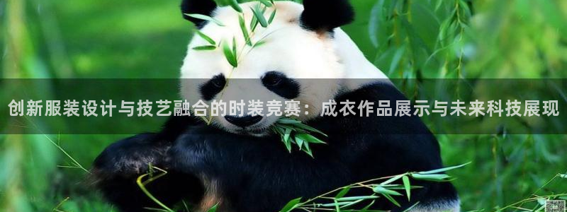 天辰辰娱乐代理