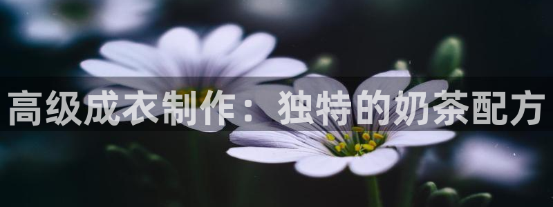 天辰娱乐厕所