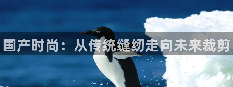 天辰娱乐2