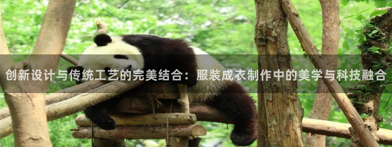 天辰娱乐小妹