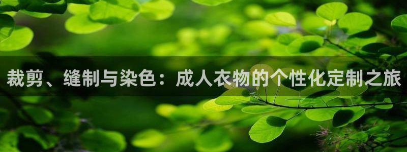 天辰娱乐 849852