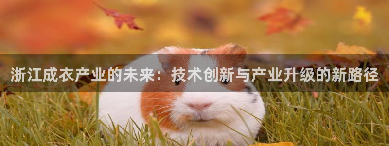 天辰娱乐挂机