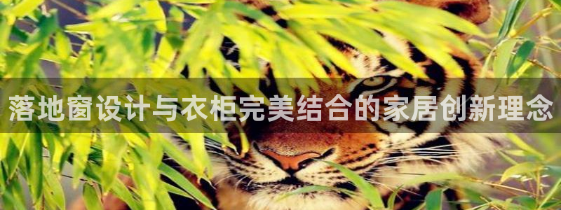 天辰娱乐软件