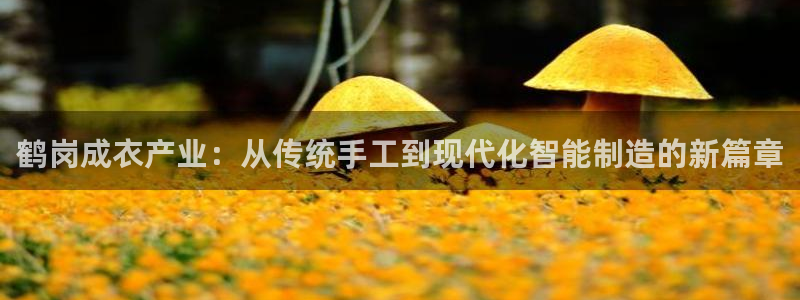 天辰娱乐地址