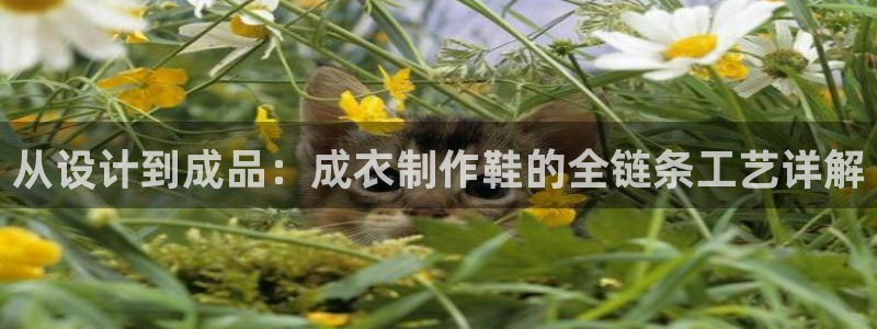 天辰娱乐 18113