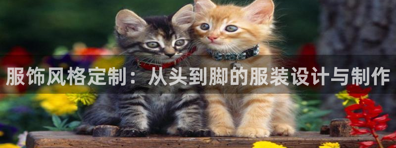 天辰国际娱乐