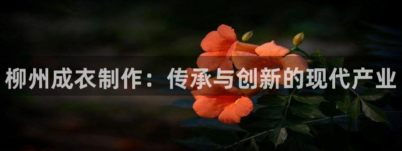 天辰a娱乐