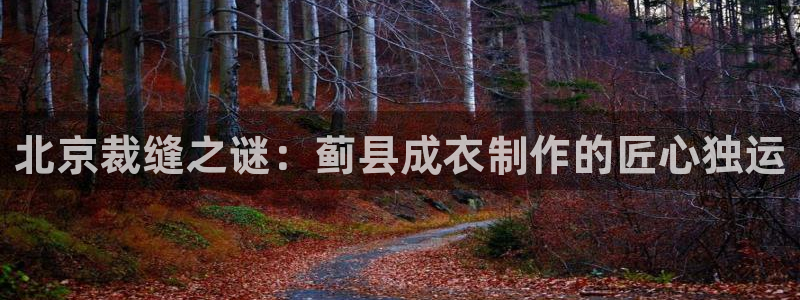 天辰娱乐下载