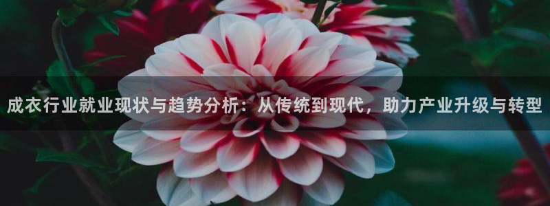 天辰娱乐 728567