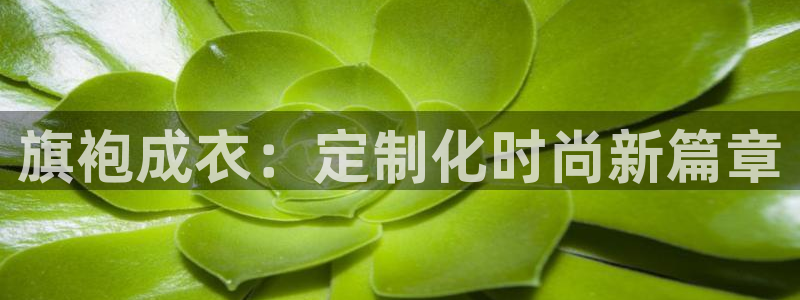 天辰娱乐代理