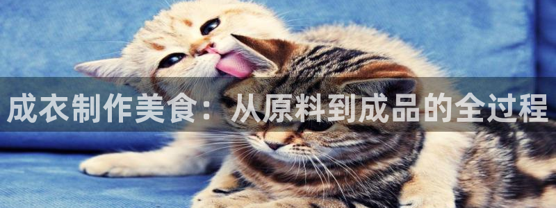 天辰娱乐棋牌