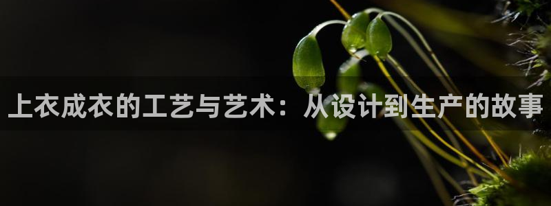 天辰娱乐天辰宝