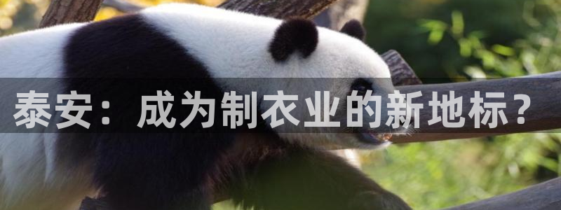 天辰娱乐 天辰平台