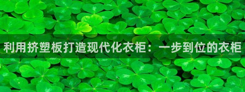 天辰娱乐官网平台入口