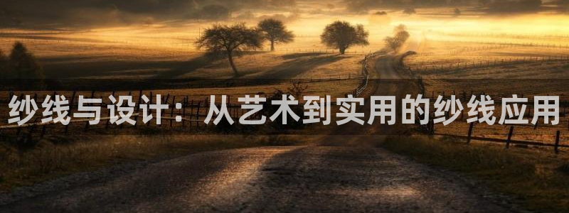 天辰娱乐小妹