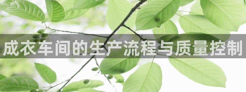天辰娱乐在线登录注册