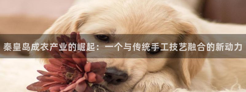 天辰娱乐平台app下载