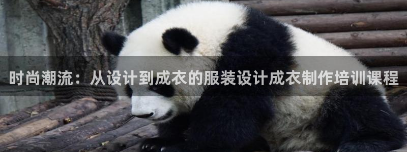 天辰娱乐官网平台下载